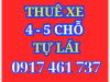 Dịch Vụ Cho Thuê Xe Ô Tô 4 Chỗ, 5 Chỗ Tự Lái Đức Hòa - Garage Ô Tô Sơn Dương