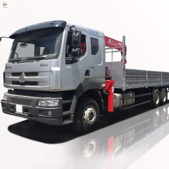 Cẩu Tải 10 Tấn