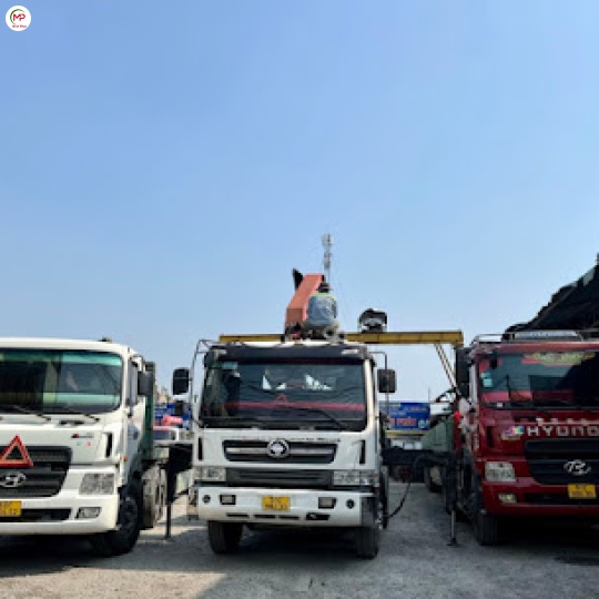 Cẩu Tải 12 Tấn